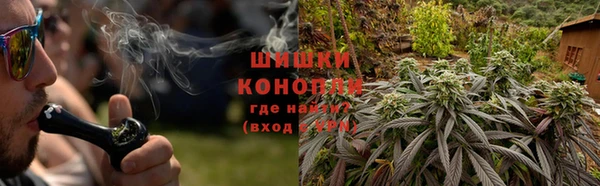 индика Майский